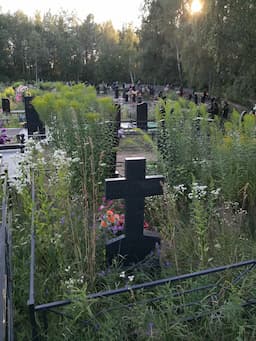 Кладбище